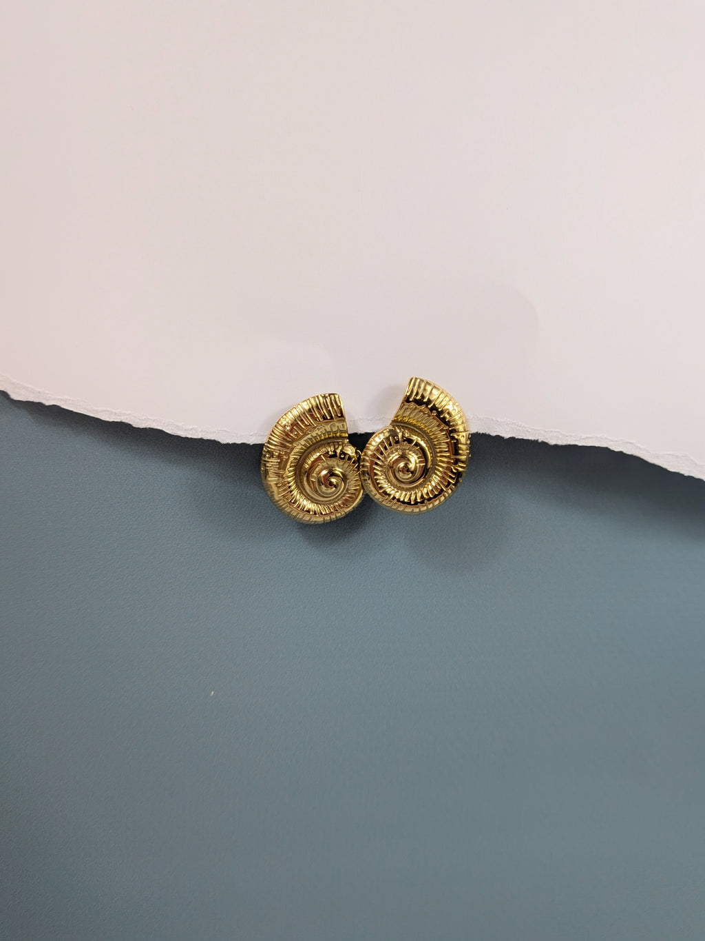 Boucles Coquillage