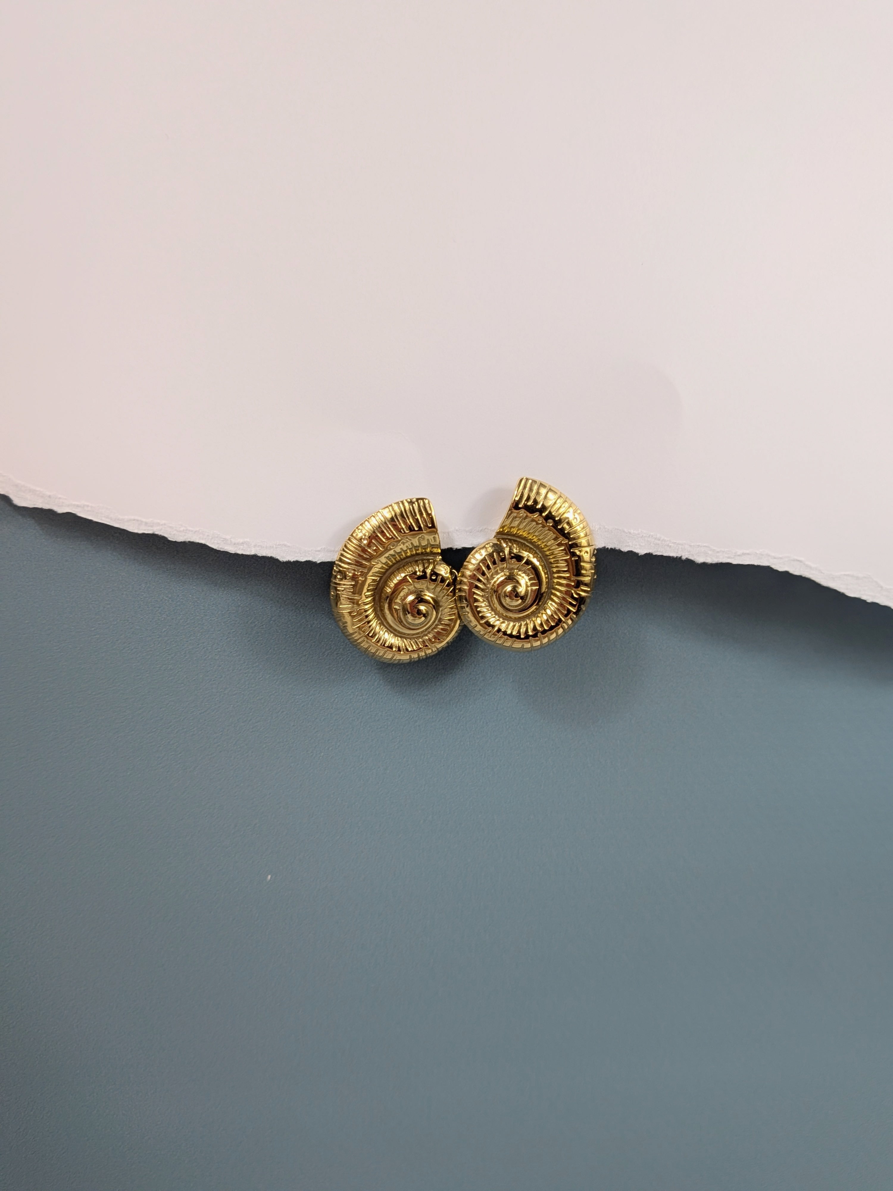 Boucles Coquillage